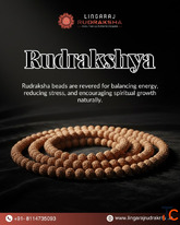 Authentic Rudraksha Shop in Bangalore