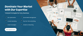 Best SEO provider company in USA