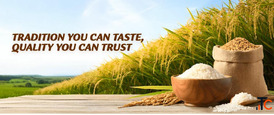 Premium 1121 Sella Basmati Rice Crafted for Global Excellence