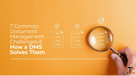 Audit Readiness Challenges Auditors vs Disconnected Systems