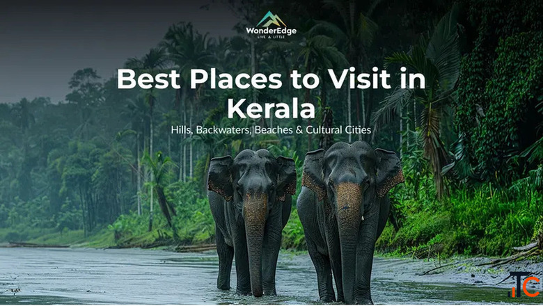 Best Places to Visit in Kerala Explore Hills Beaches Hidden Gems