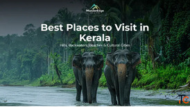 Best Places to Visit in Kerala Explore Hills Beaches Hidden Gems