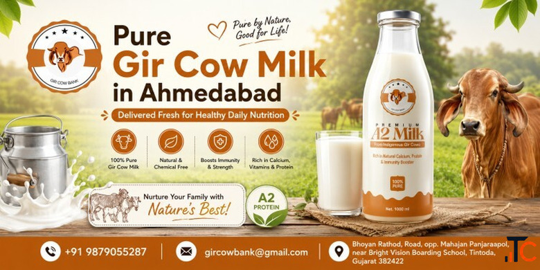 Pure Gir Cow Milk in Ahmedabad Delivered Fresh for Healthy Daily Nutrition