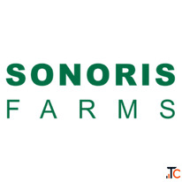 Best Pheromone Trap in India for Smart Pest Control Sustainable Farming