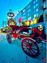 Baraat Band Services in Chandigarh