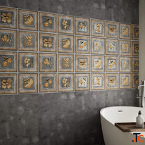 Tiles Exporters in Morbi Axoli Tiles