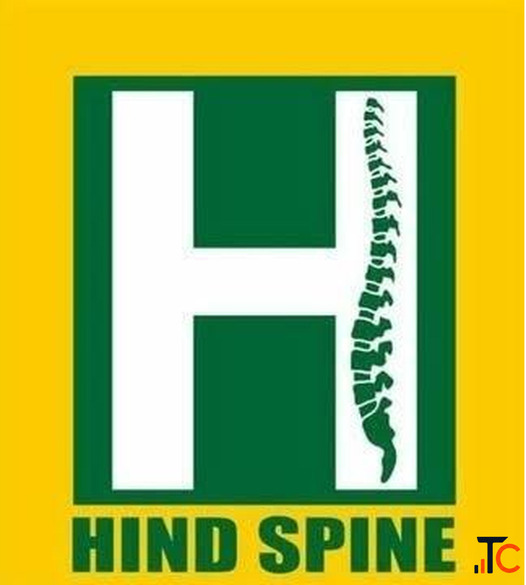Endoscopic Spine Surgery in Bhopal Hind Spine Clinic