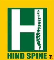 Endoscopic Spine Surgery in Bhopal Hind Spine Clinic