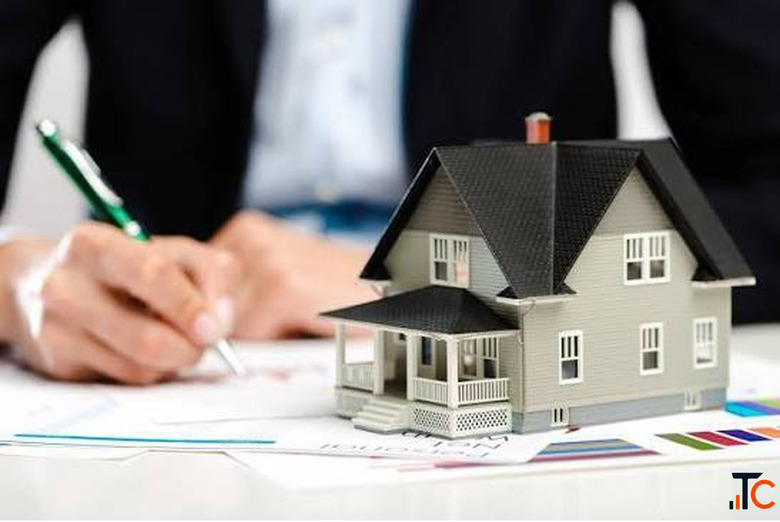 Lifestyle LLC Business Insights Market Trends and Industry Updates in the UAE