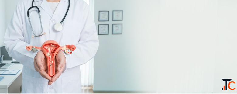 Endometrial cancer Treatment in Delhi