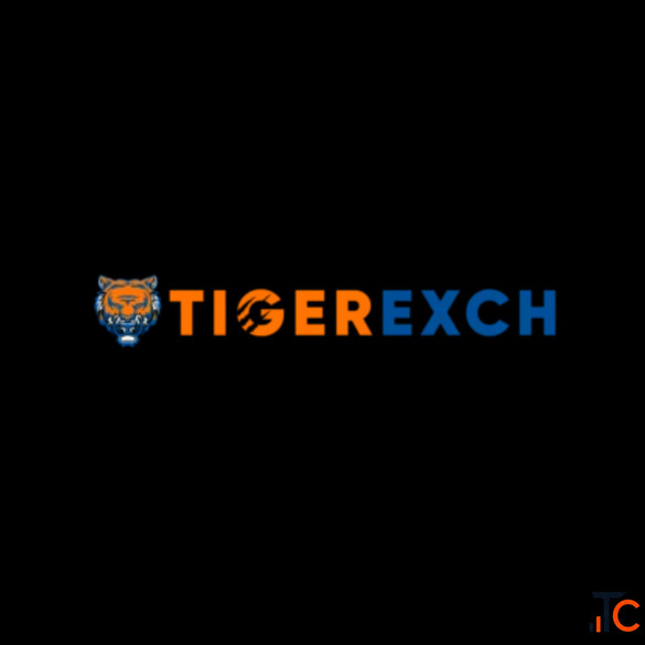 Tiger365 - Hub of Digital Gaming and Sports Experiences