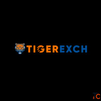 Tiger365 - Hub of Digital Gaming and Sports Experiences