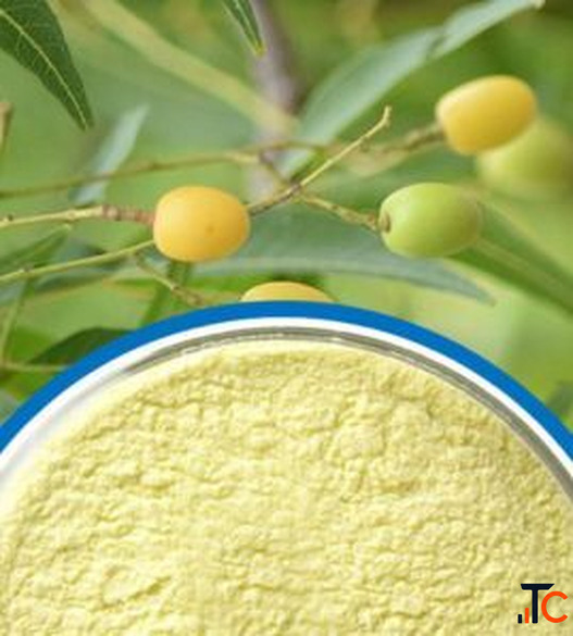 Azadirachtin Technical Powder Manufacturers in India Premium Neem Extract Supplier