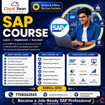 How SAP Training with Placement Assistance Can Help You Build a Successful ERP Career