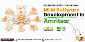 MLM Software Development Company in Amritsar