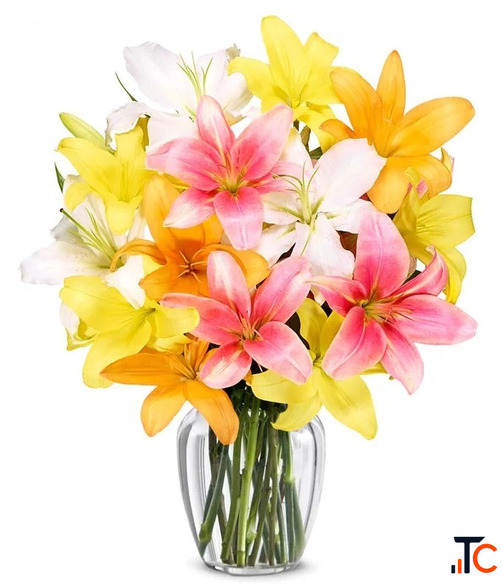 Lilies Flower Bouquet Gifts and Petals Blossom Picks