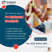 Pre Matrimonial Investigation