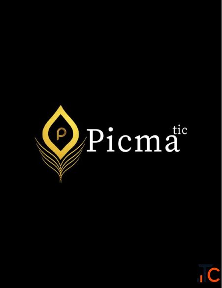 Picmatic Media - Digital Marketing SEO Website Development Agency
