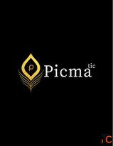 Picmatic Media - Digital Marketing SEO Website Development Agency