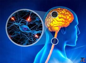 Multiple Sclerosis Treatment in Gurgaon Expert Physiotherapy Rehabilitation Care