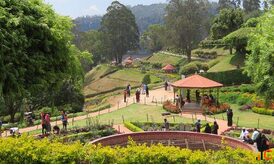 Taxi from Bangalore to Ooty Check Taxi Fare Book Online