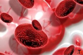 Hematology Treatment in Ahmedabad