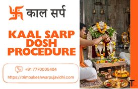 Complete Kaal Sarp Dosh Procedure In Simple Steps