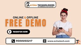 Free Demo on All SAP Modules at Avina Technologies