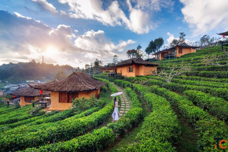 Vietnam e-Visa for Indians - Apply Online Through Scapia