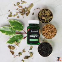 Best Ayurvedic Medicine for Blood Sugar Control