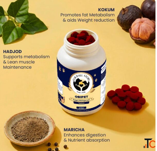 Natural Appetite Suppressant for Dogs