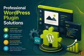 WordPress Custom Plugin Solutions