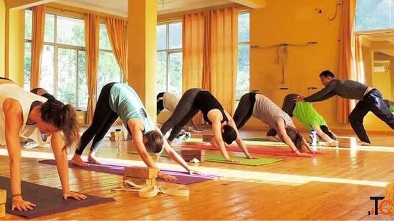 Two-Week Yoga Retreat in Rishikesh - Enroll at AYM Yoga School