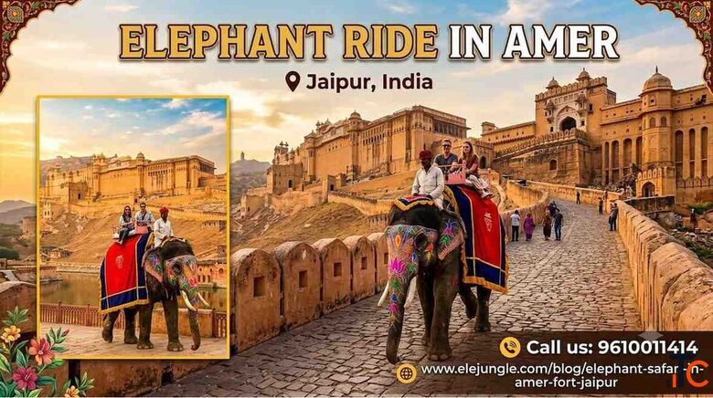 Elephant Ride in Amer Fort Jaipur Best Time to Go Booking Guide