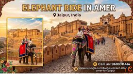Elephant Ride in Amer Fort Jaipur Best Time to Go Booking Guide
