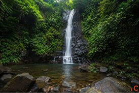 Goa Tour Packages for 4 Person with 4 Nights 5 Days Comfort Plan
