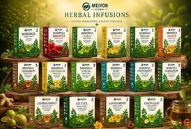 Meiyon Global - Trusted Organic Moringa Products for a Healthier Lifestyle