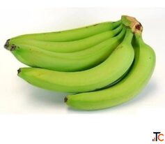 Indian Banana Exporter