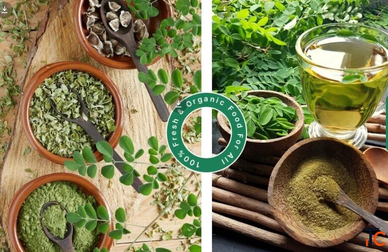 Meiyon Global Private Labelling - Custom Organic Wellness Solutions for Your Brand
