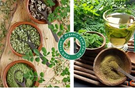 Meiyon Global Private Labelling - Custom Organic Wellness Solutions for Your Brand
