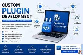 Expert Custom Plugin Development to Extend WordPress Functionality