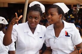 St. Philomena College of Nursing Sciences Benin-City Edo State 0915934710920262027 APPLICATION FORM 