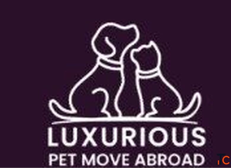 Luxurious Pet Move Abroad