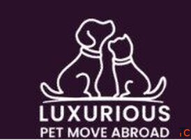 Luxurious Pet Move Abroad