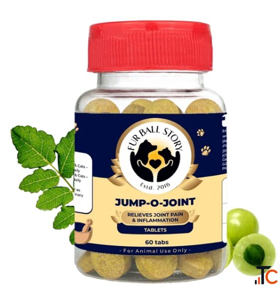Natural Joint Supplement for Dogs