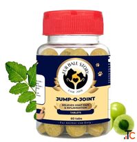 Natural Joint Supplement for Dogs