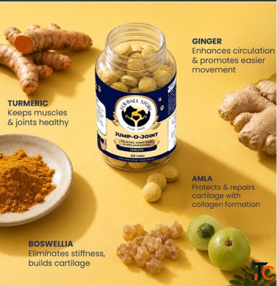 Natural Joint Supplement for Dogs