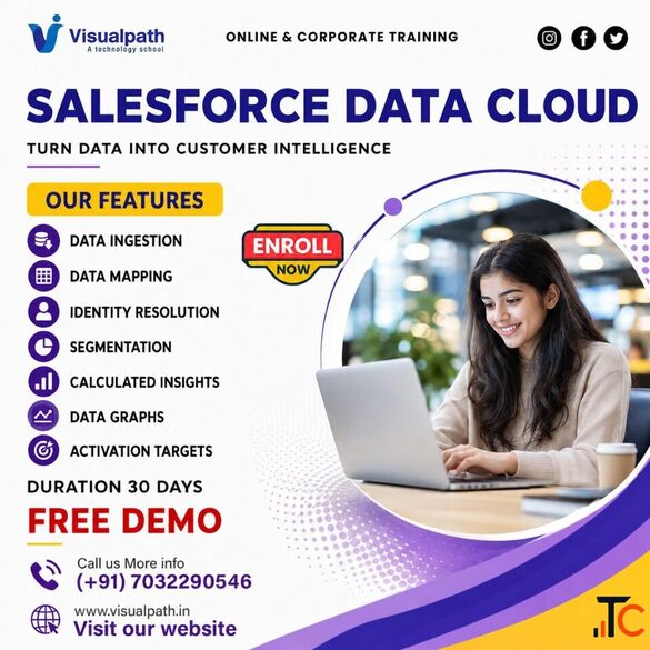 Salesforce Data Cloud Training Hyderabad Online Classes