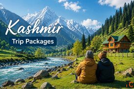 Kashmir Trip Packages That Cover Srinagar to Gulmarg