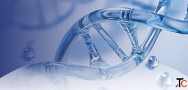 Imdelltra tarlatamab-dlle Injection Price in India